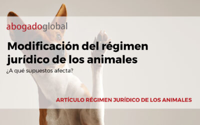 Modificación del régimen jurídico de los animales. ¿A qué supuestos afecta?